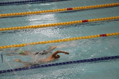 スポ少大会水泳競技-02