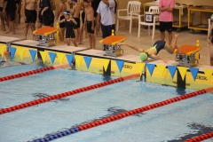 スポ少大会水泳競技-05