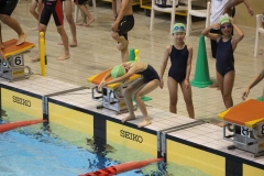 スポ少大会水泳競技-09