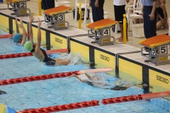 スポ少大会水泳競技-15