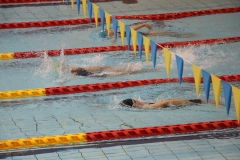 スポ少大会水泳競技-17