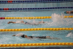 スポ少大会水泳競技-18