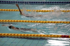 スポ少大会水泳競技-19