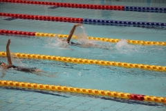 スポ少大会水泳競技-20