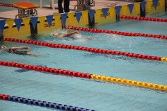 スポ少大会水泳競技-21