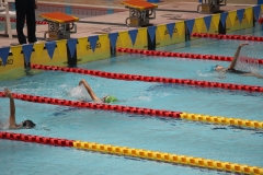 スポ少大会水泳競技-22
