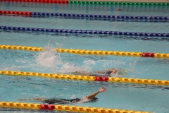 スポ少大会水泳競技-24