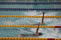 スポ少大会水泳競技-25