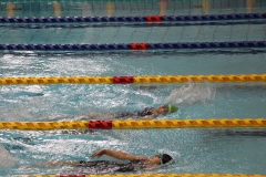 スポ少大会水泳競技-26