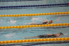 スポ少大会水泳競技-27