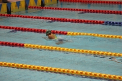 スポ少大会水泳競技-31