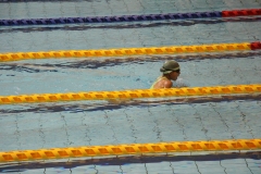 スポ少大会水泳競技-32