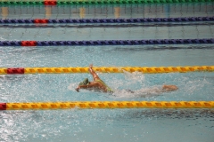 スポ少大会水泳競技-34