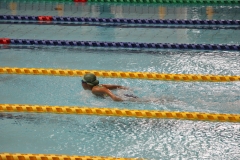 スポ少大会水泳競技-35