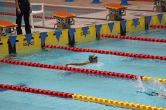 スポ少大会水泳競技-36