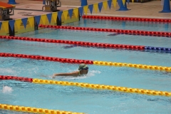 スポ少大会水泳競技-37