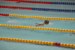 スポ少大会水泳競技-38