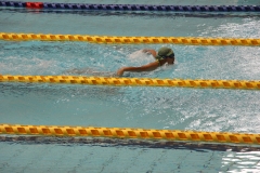 スポ少大会水泳競技-39