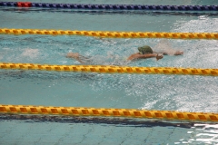スポ少大会水泳競技-40