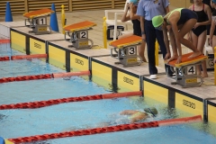 スポ少大会水泳競技-41
