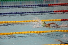 スポ少大会水泳競技-42