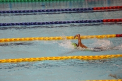 スポ少大会水泳競技-43