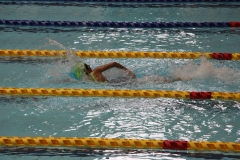 スポ少大会水泳競技-45