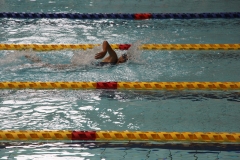 スポ少大会水泳競技-47