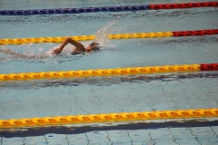 スポ少大会水泳競技-48