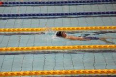 スポ少大会水泳競技-52