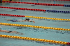 スポ少大会水泳競技-56