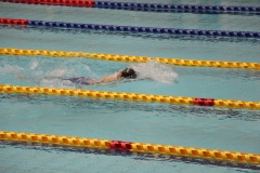 スポ少大会水泳競技-57