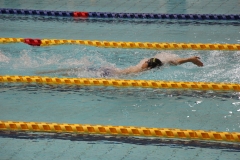 スポ少大会水泳競技-59
