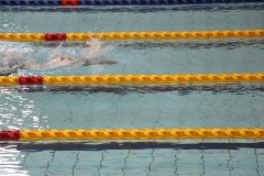 スポ少大会水泳競技-69