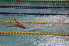 スポ少大会水泳競技-75