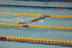 スポ少大会水泳競技-76