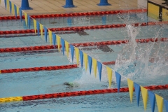 スポ少大会水泳競技-82