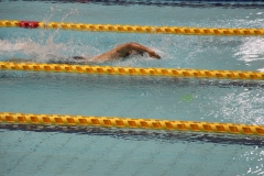 スポ少大会水泳競技-84