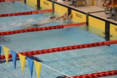 スポ少大会水泳競技-86