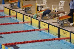 スポ少大会水泳競技-95