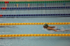 スポ少大会水泳競技-97