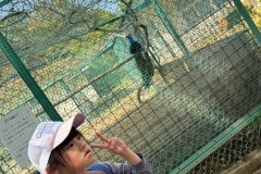 LINE_ALBUM_20250426-ハイキング_250914_32