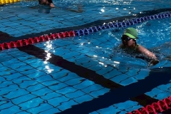 LINE_ALBUM_20250615-水戸大会_250914_36